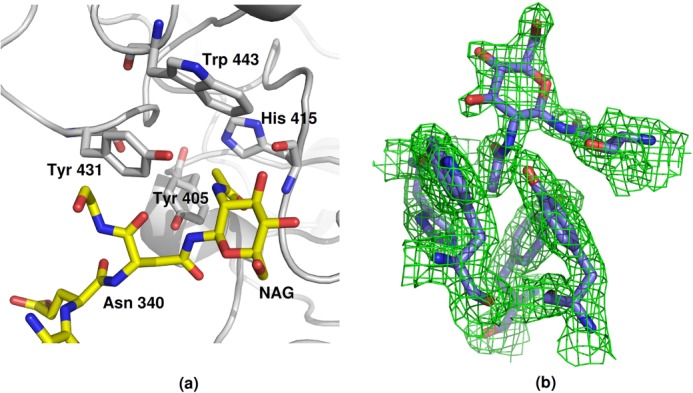 FIGURE 5.