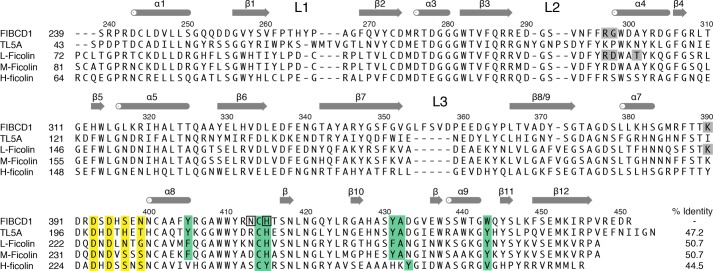 FIGURE 1.