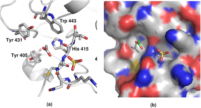 FIGURE 3.