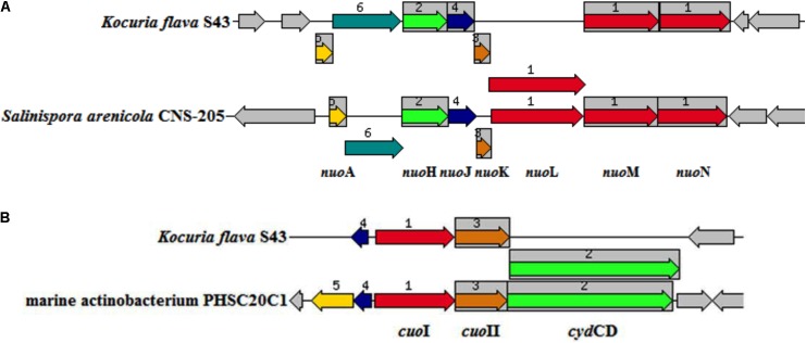 FIGURE 4