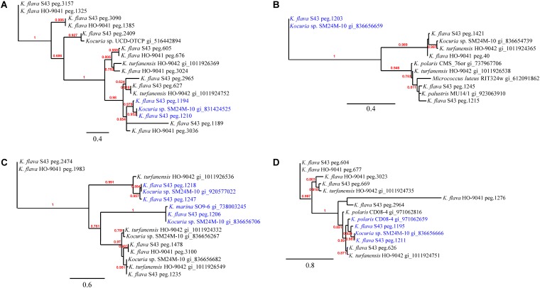 FIGURE 3