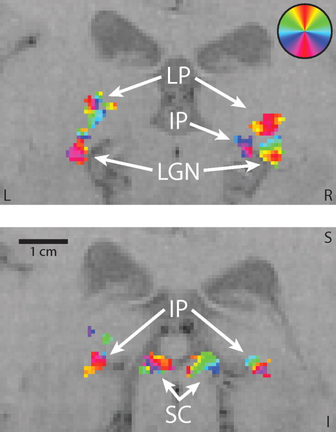 Figure 3.