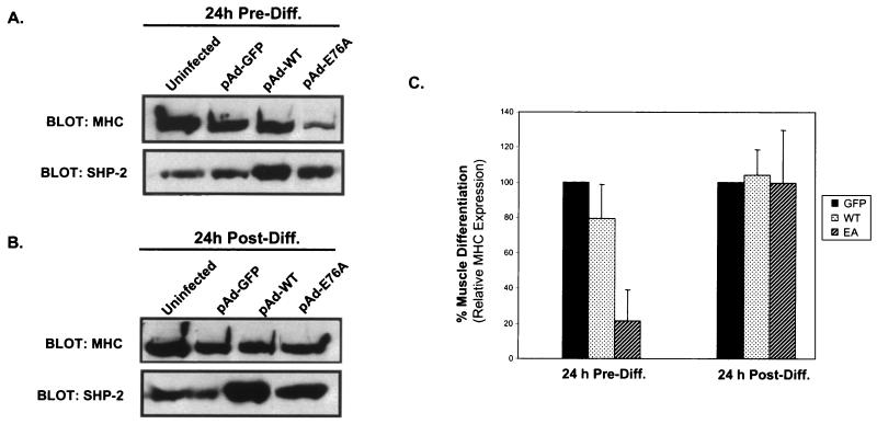 FIG. 9.