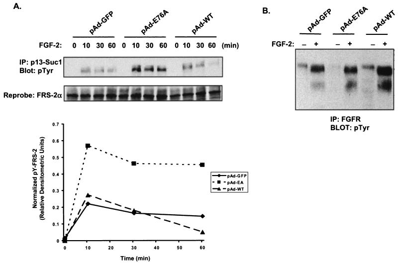 FIG. 10.