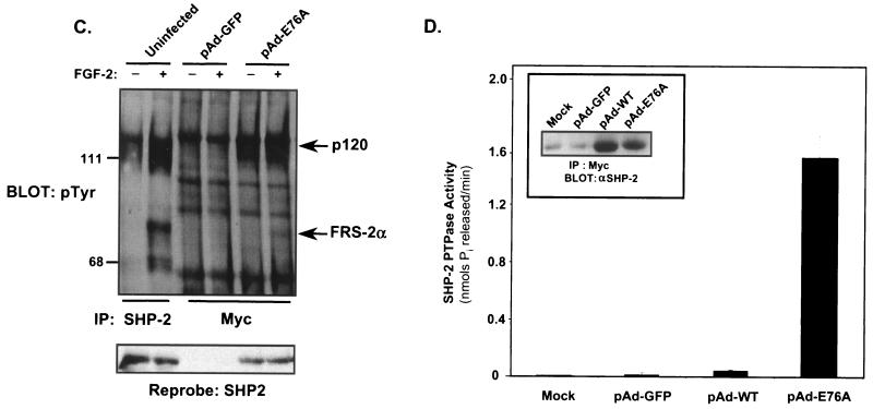 FIG. 5.