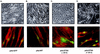 FIG. 8.