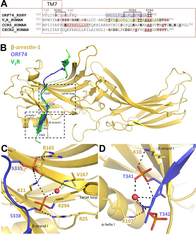 Fig 6