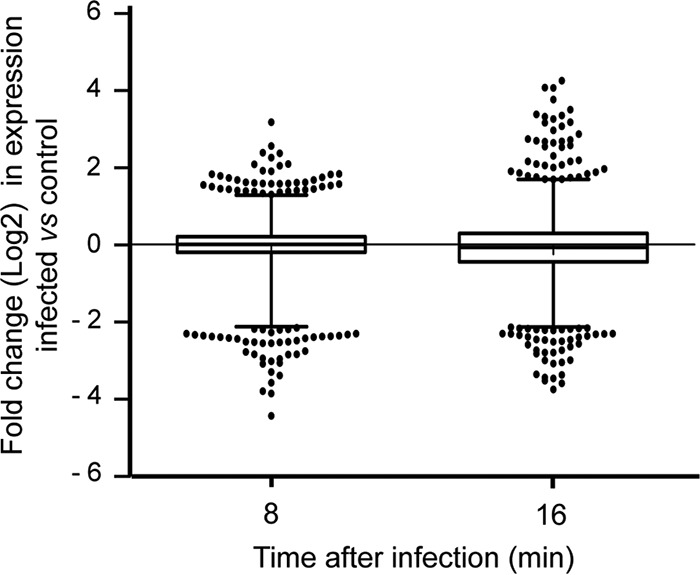 FIG 3