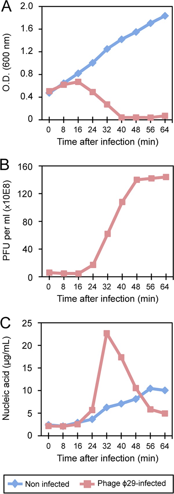 FIG 1