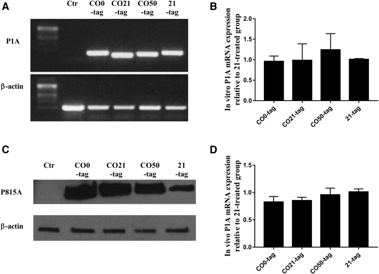 Figure 2