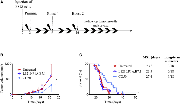 Figure 6