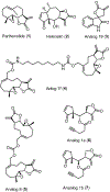 Figure 1: