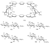 Figure 36