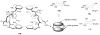 Figure 35