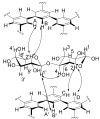 Figure 40