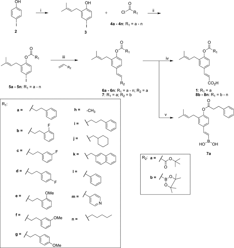 Scheme 1.