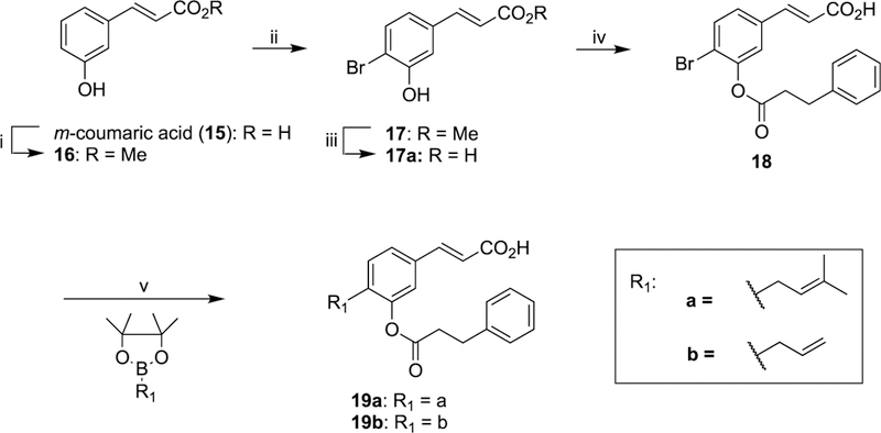 Scheme 3.