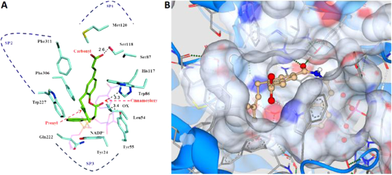 Figure 3.