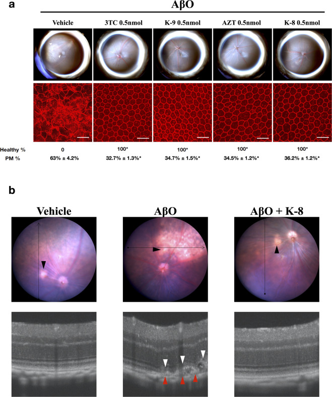 Fig. 4