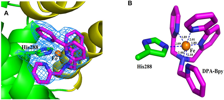 FIGURE 6