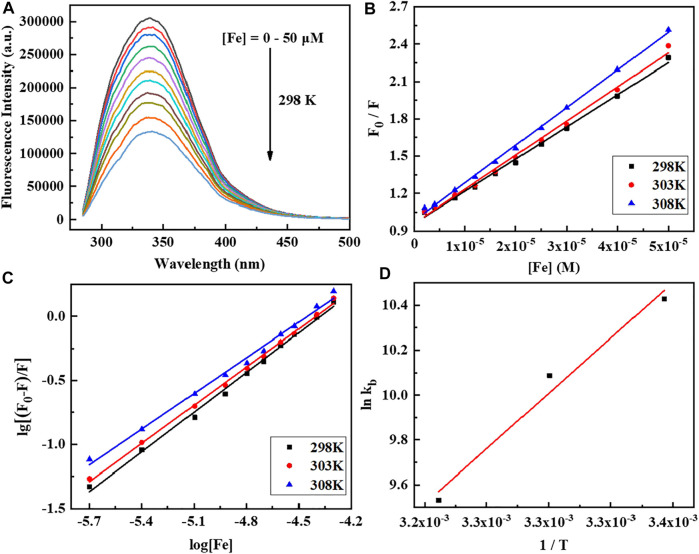 FIGURE 3