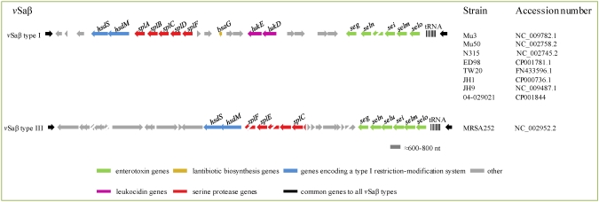 Food Poisoning And Staphylococcus Aureus Enterotoxins - Pmc