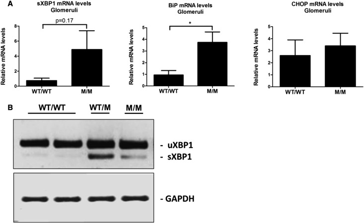 Figure 12.