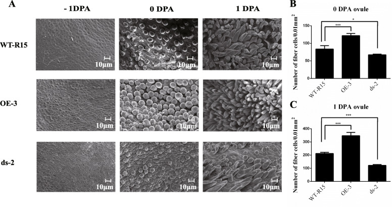 Fig. 9