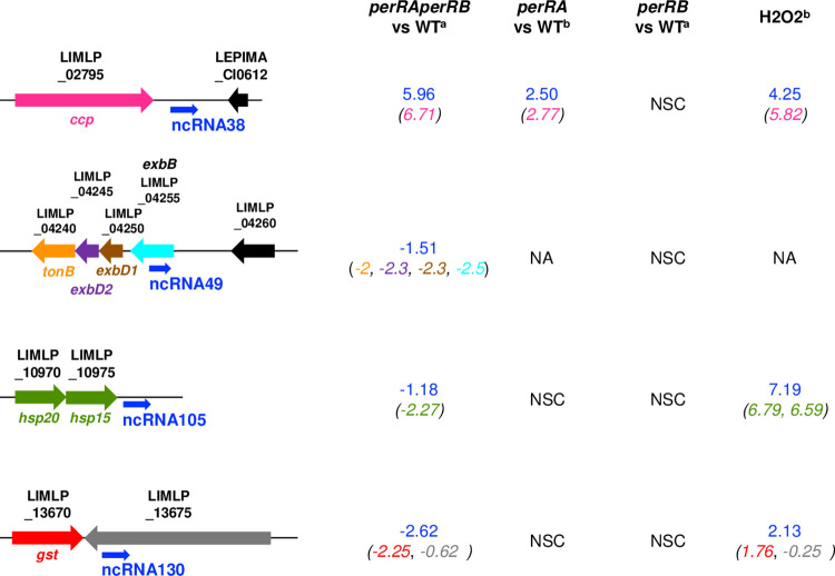 Fig 10