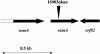 FIG. 1.