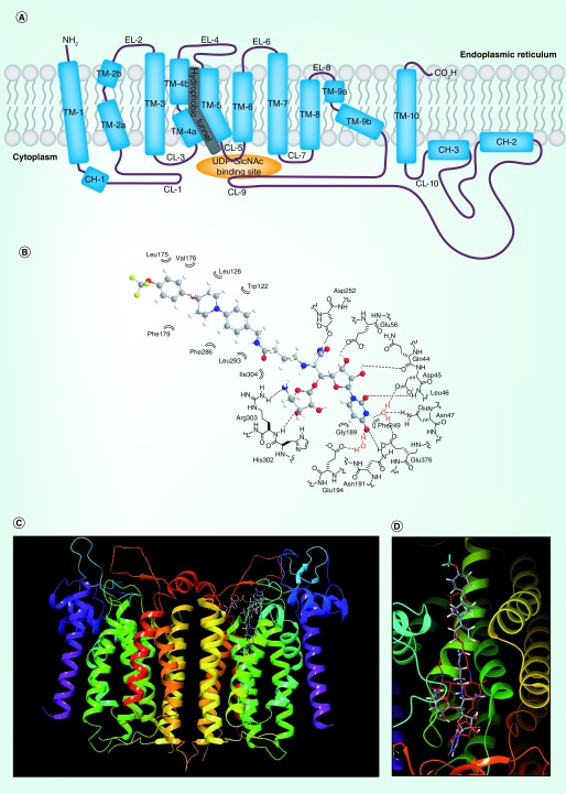 Figure 3. 