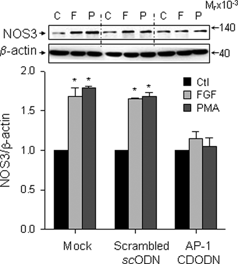 FIGURE 10.