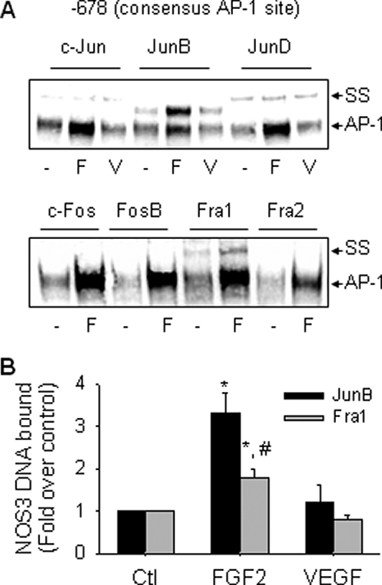 FIGURE 4.