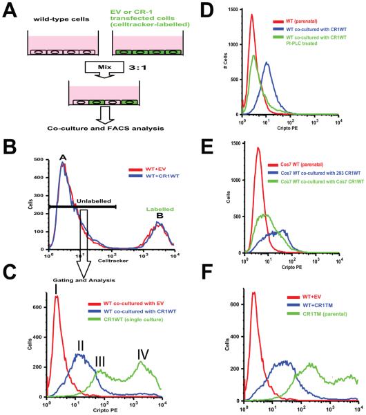 Fig.2