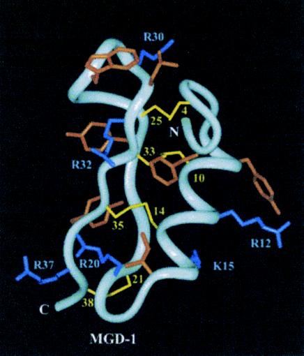 FIG. 6.