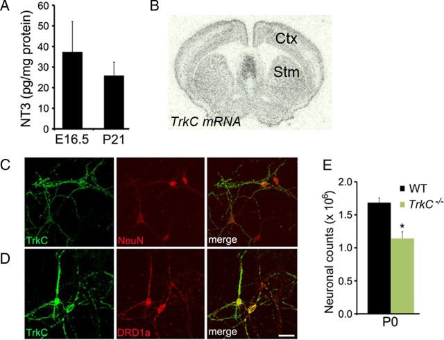 Figure 3.