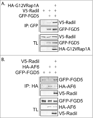 Figure 5.