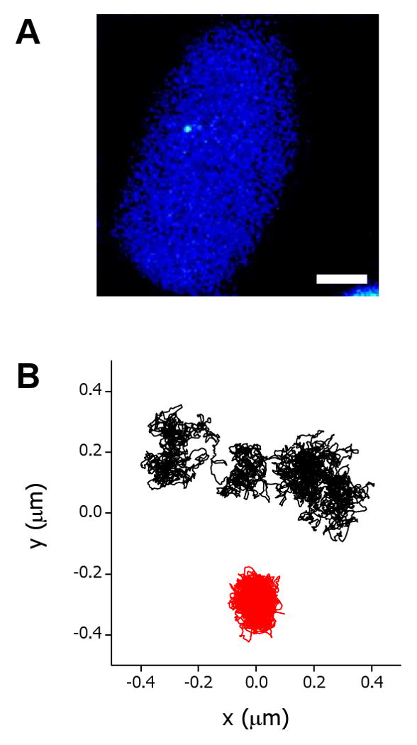 FIGURE 3