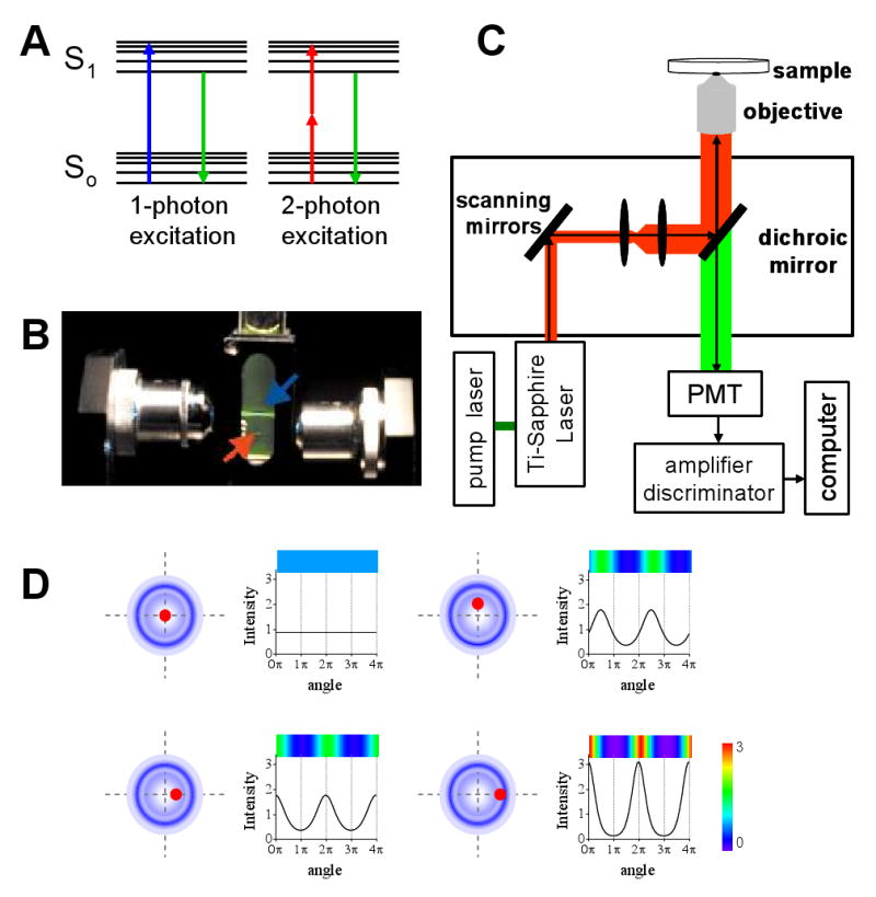 FIGURE 2