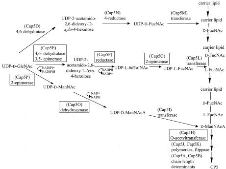 FIG. 6.