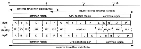 FIG. 5.