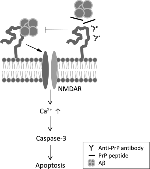 Figure 5.