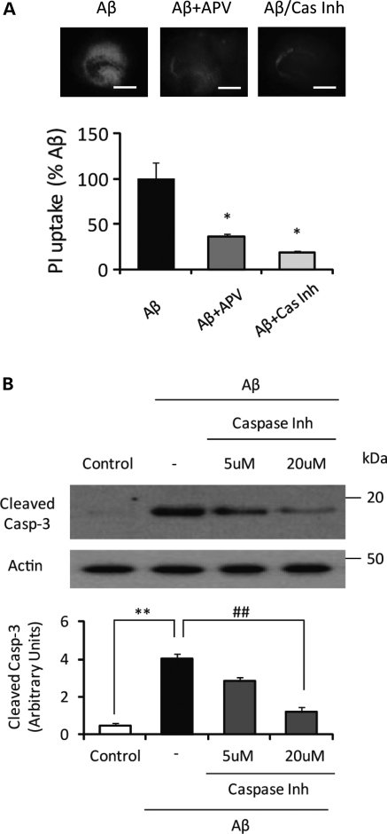 Figure 3.