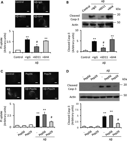 Figure 2.