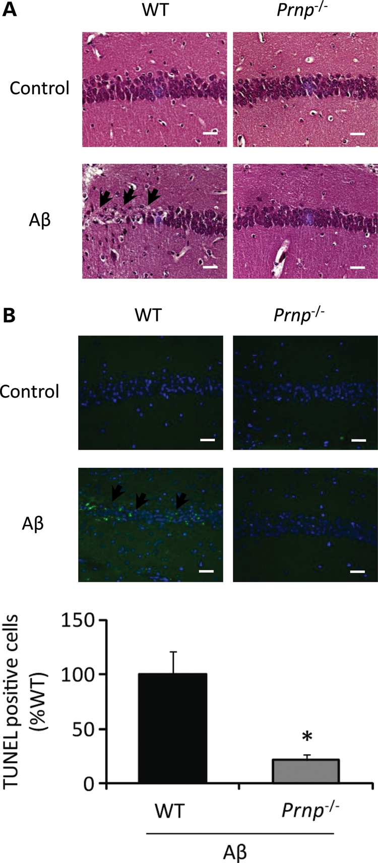 Figure 4.