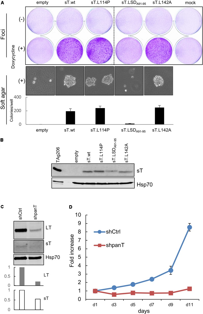 FIGURE 3