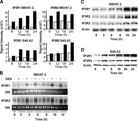 FIGURE 1.