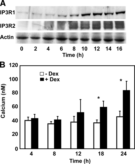 FIGURE 2.