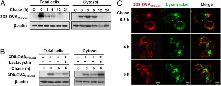 FIGURE 3.