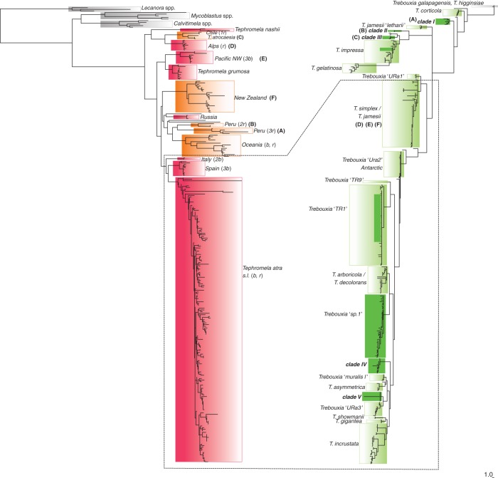 Fig. 2.